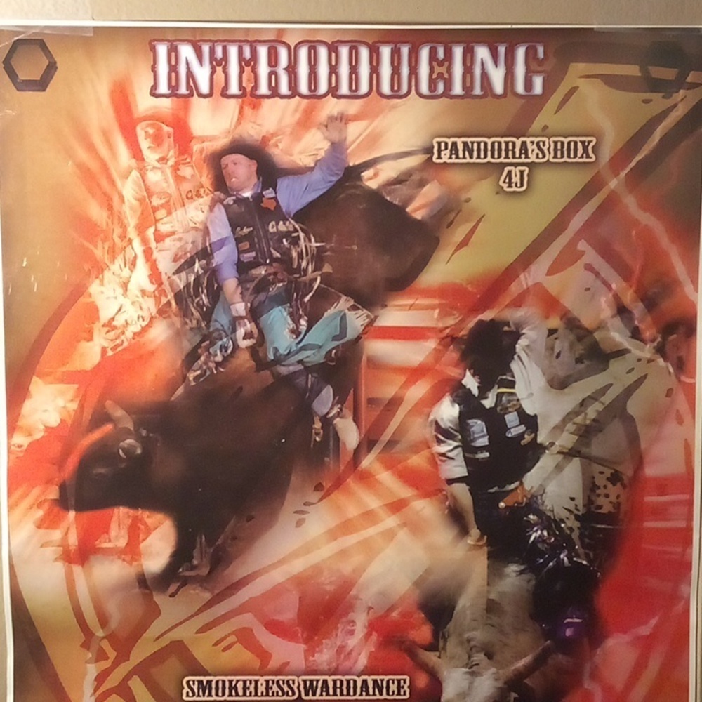 NWOT - Introducing The Dynamic Duo Rodeo Poster - Picture 3 of 7